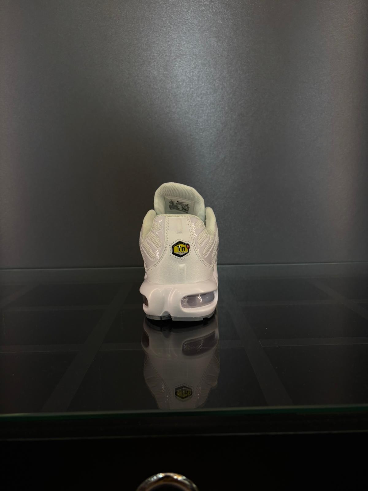 Nike air max plus TN 
