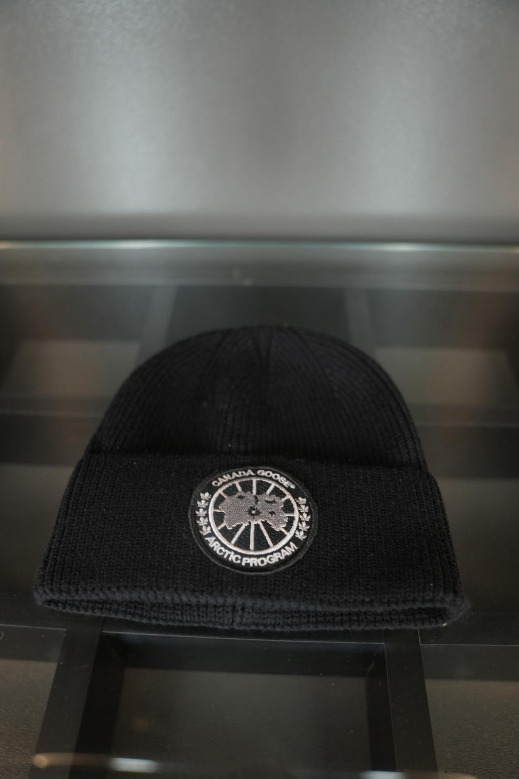 Canada goose bere