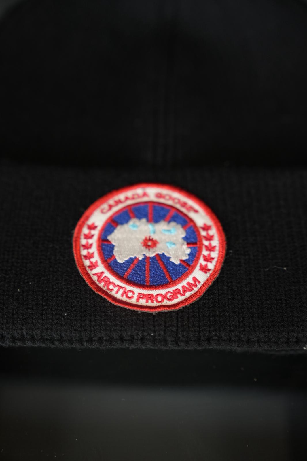 Canada goose bere