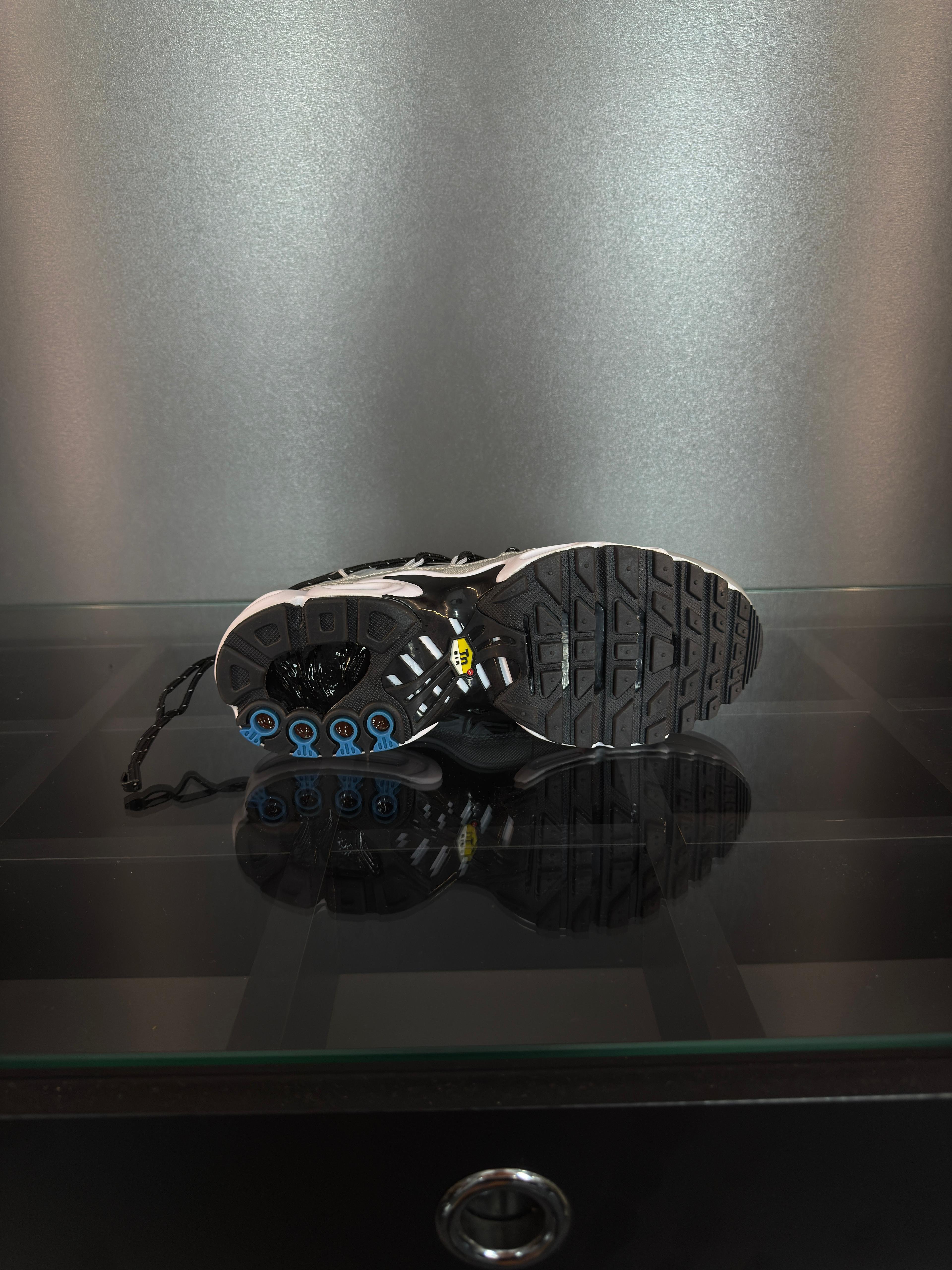 nike air max plus