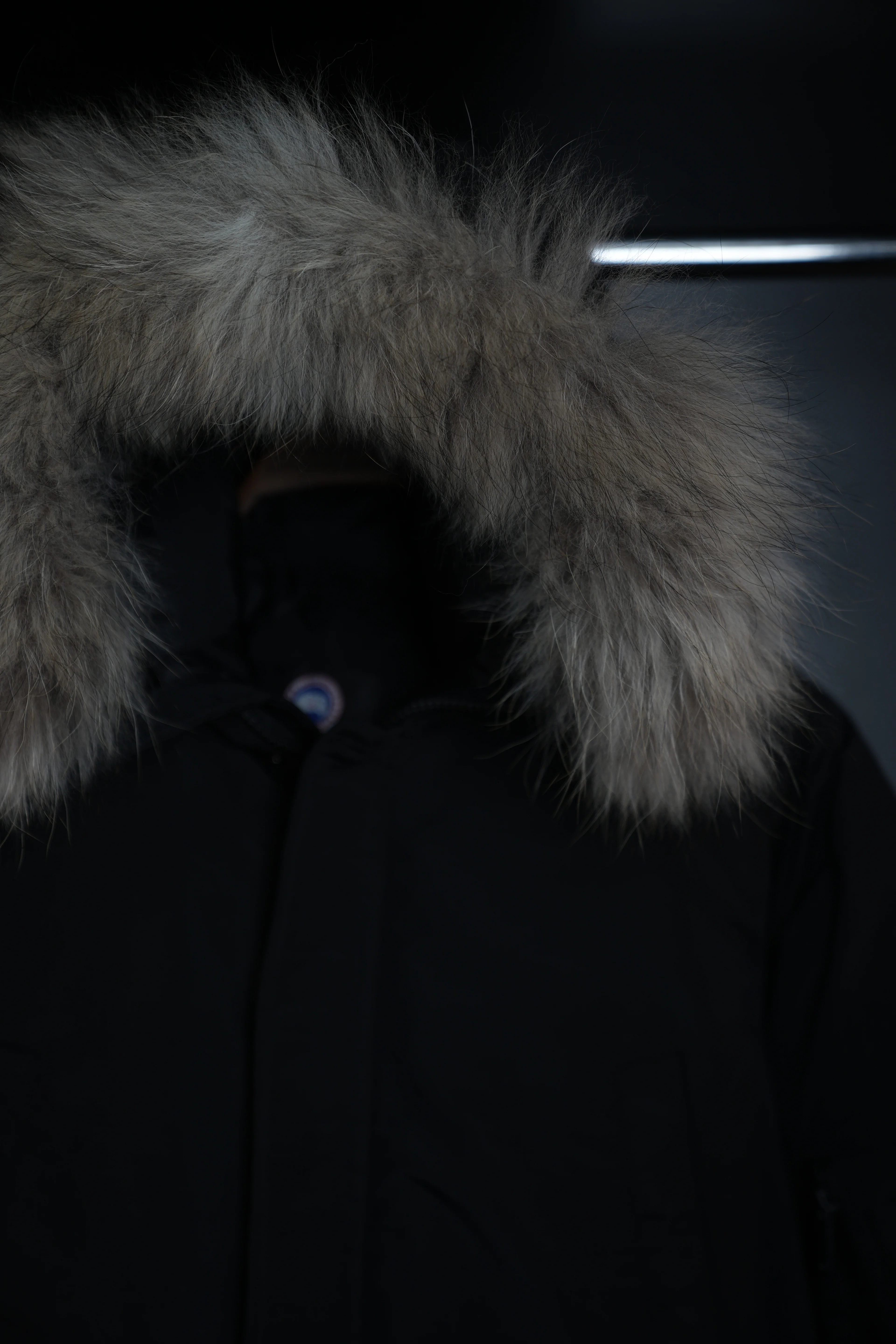 Canada goose mont