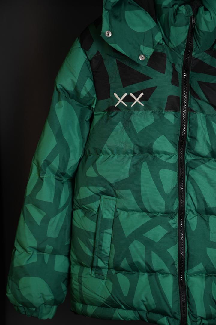 The north face x kaws mont