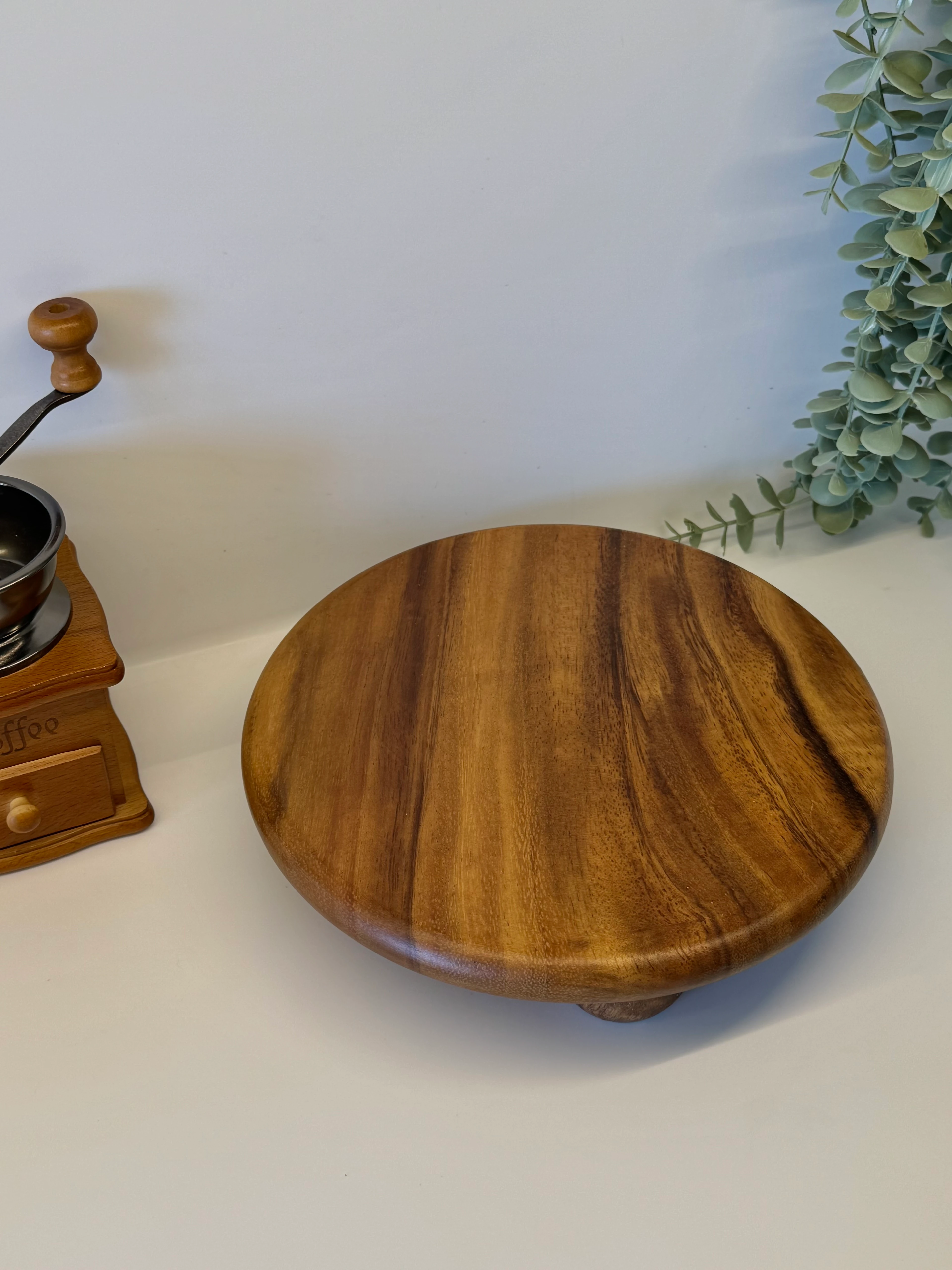 Top Ayaklı Filipin Akasya Sunum Standı