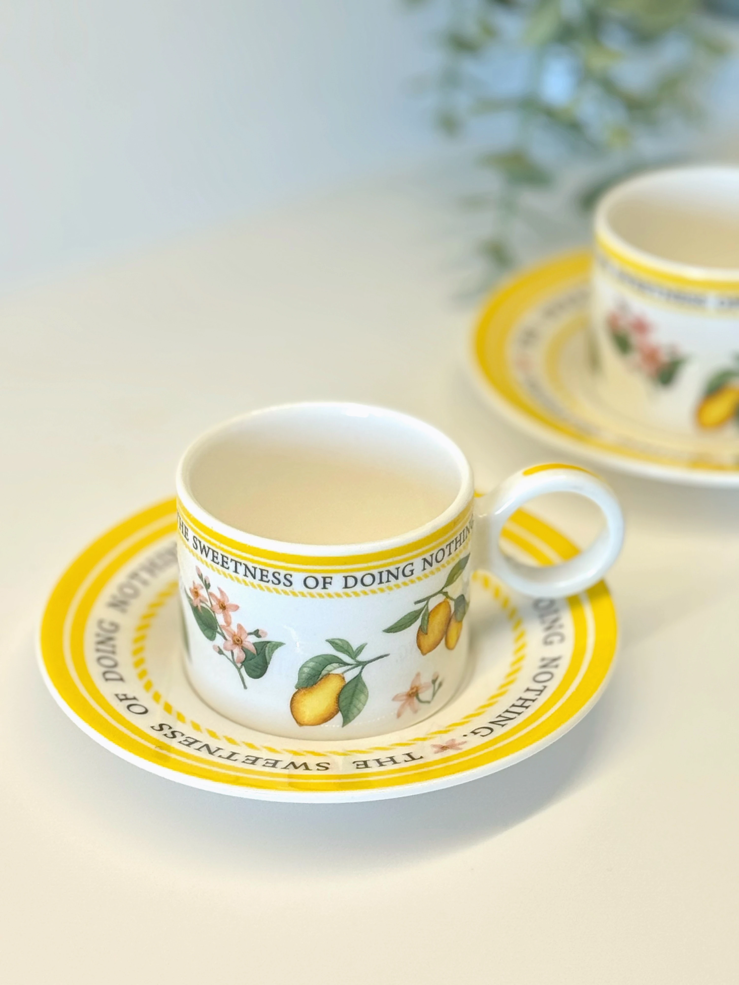 2'li Lemon Bliss Fincan Takımı