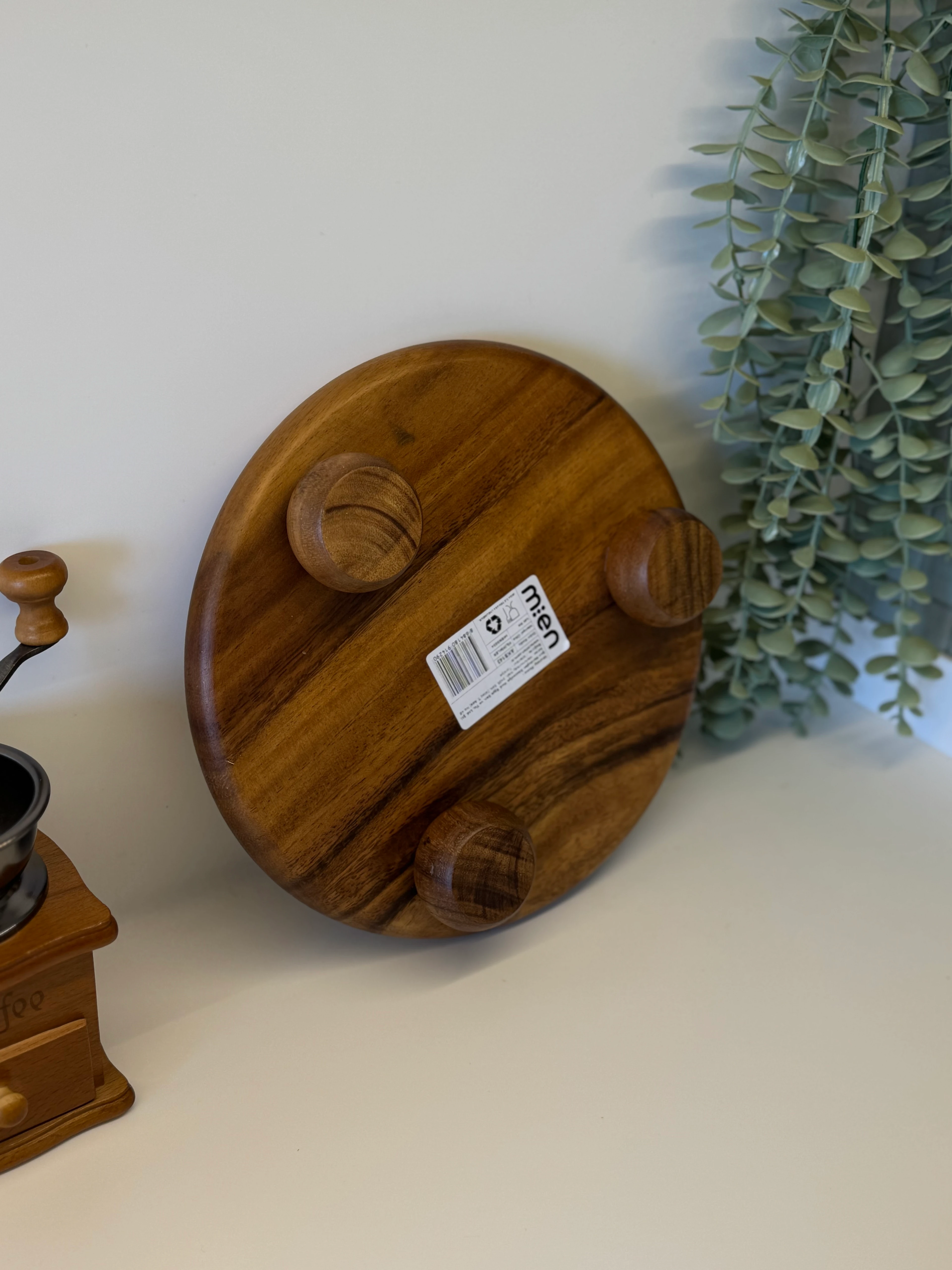 Top Ayaklı Filipin Akasya Sunum Standı