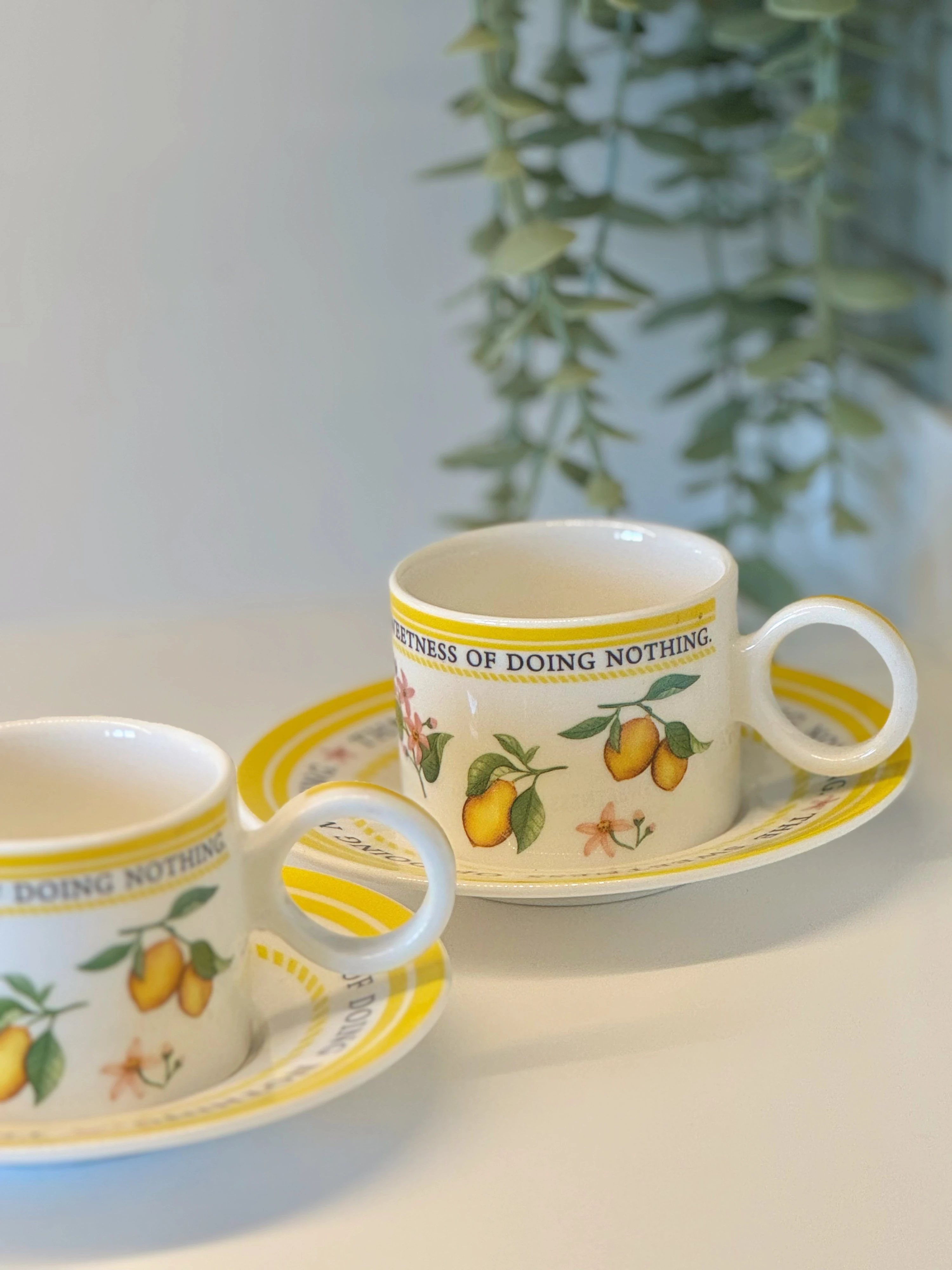 2'li Lemon Bliss Fincan Takımı