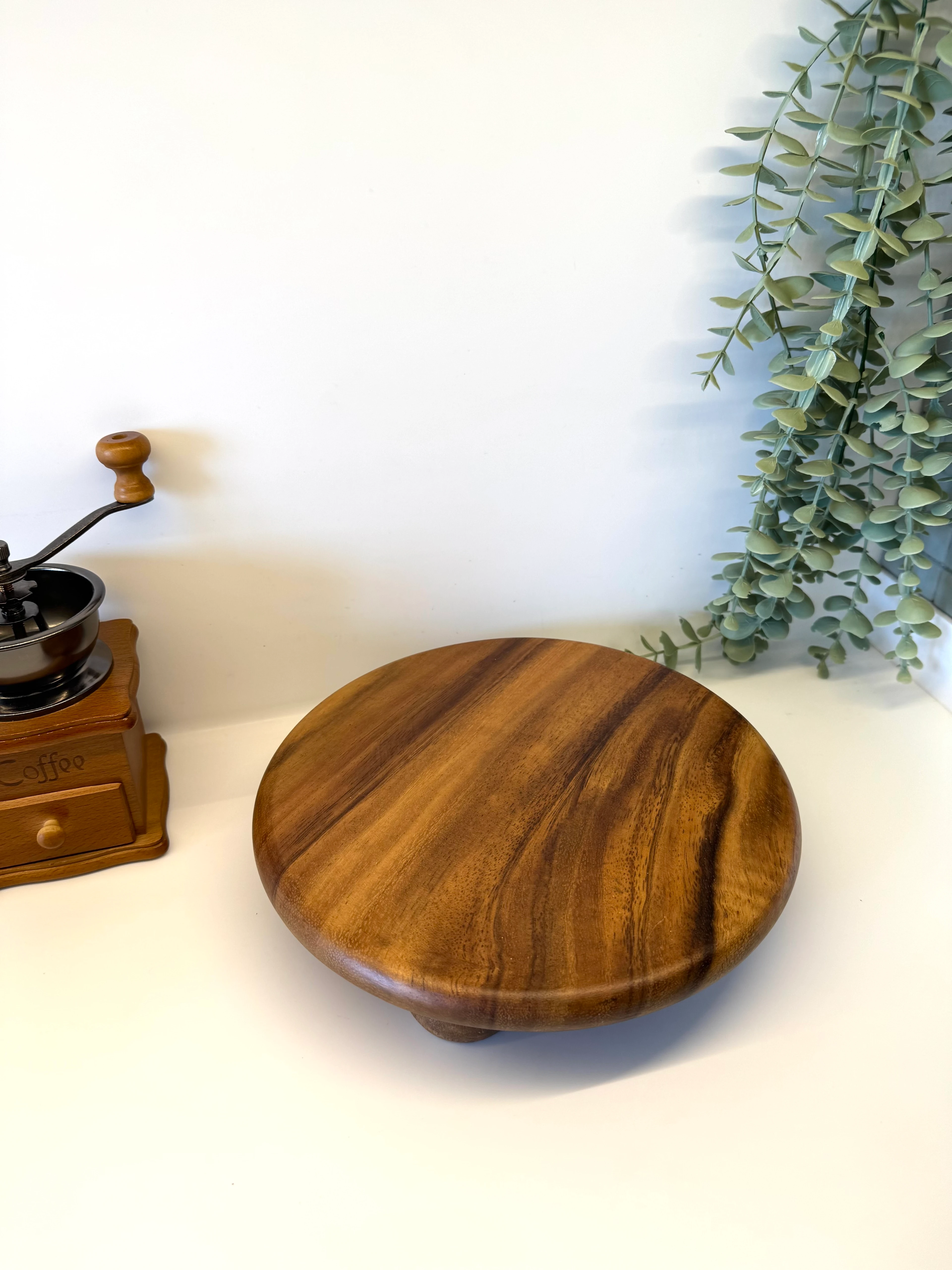 Top Ayaklı Filipin Akasya Sunum Standı