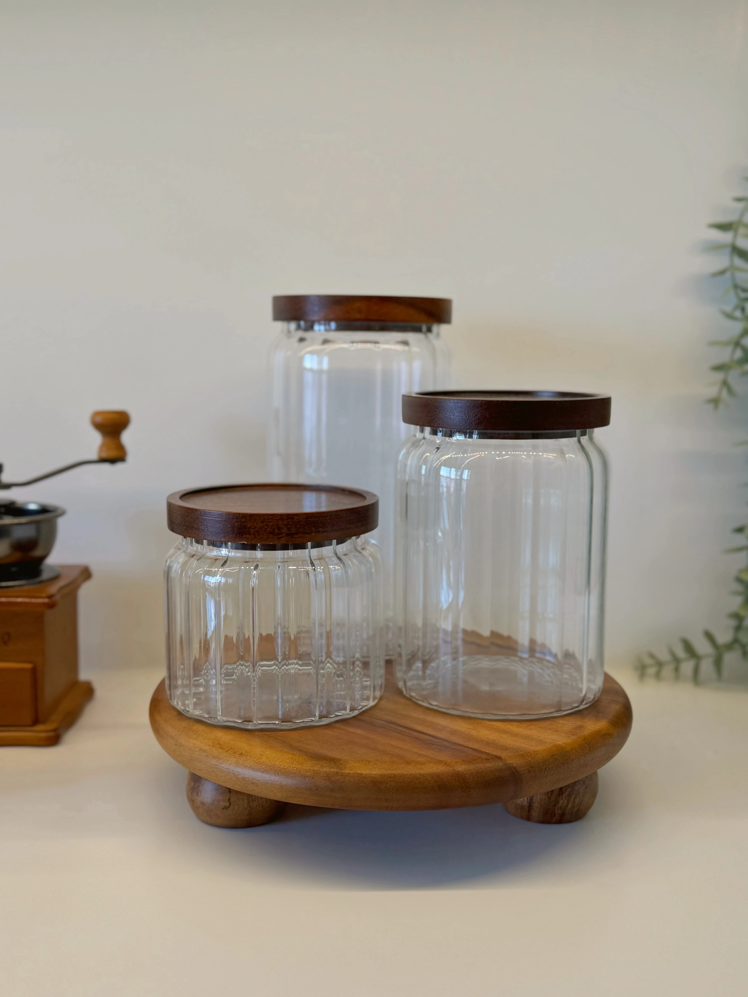  Akasya Standlı Mega Lily Cam Mutfak Kavanoz Seti