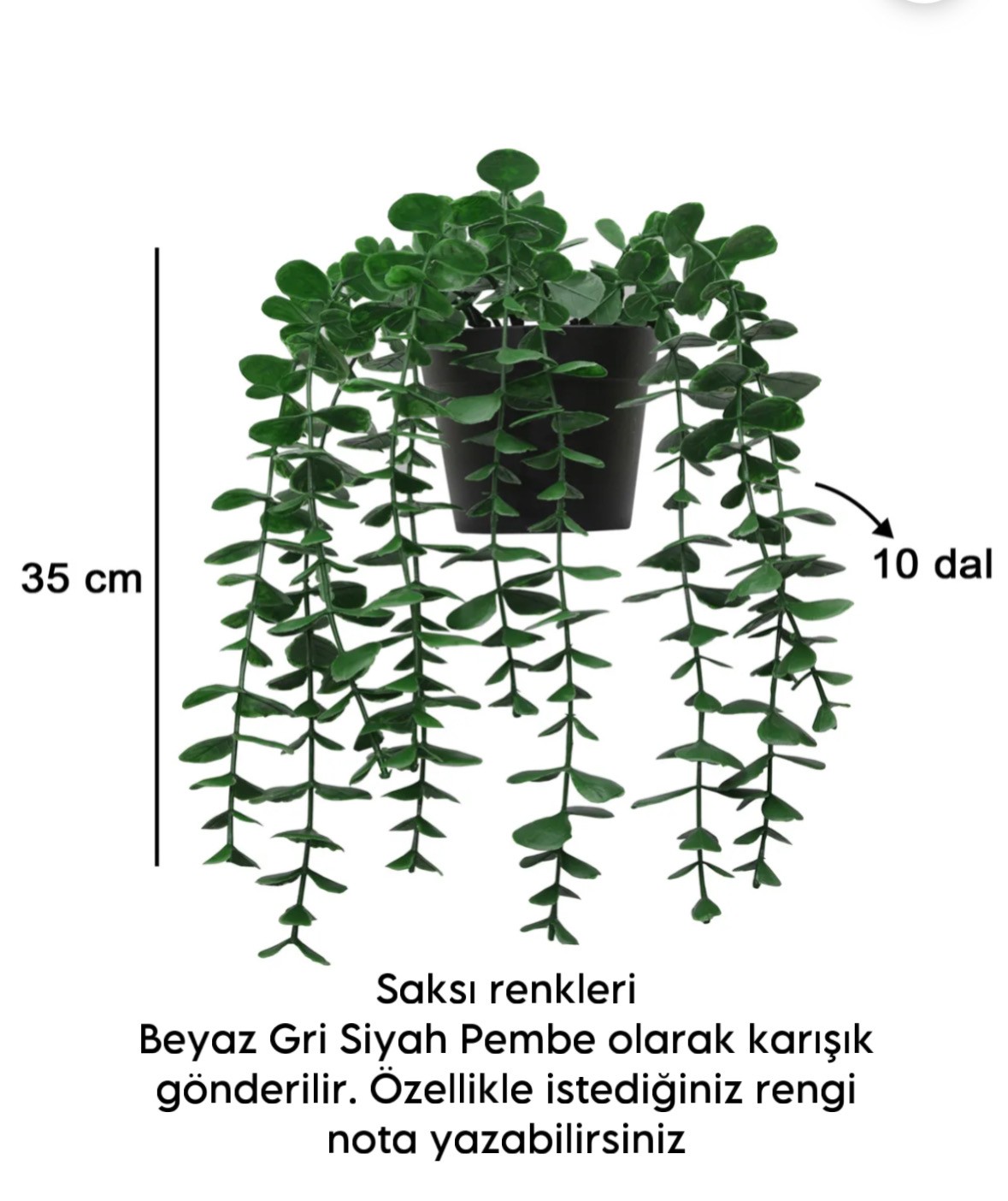 Saksılı dekoratif okaliptus sarkıt çiçek/ 35 cm