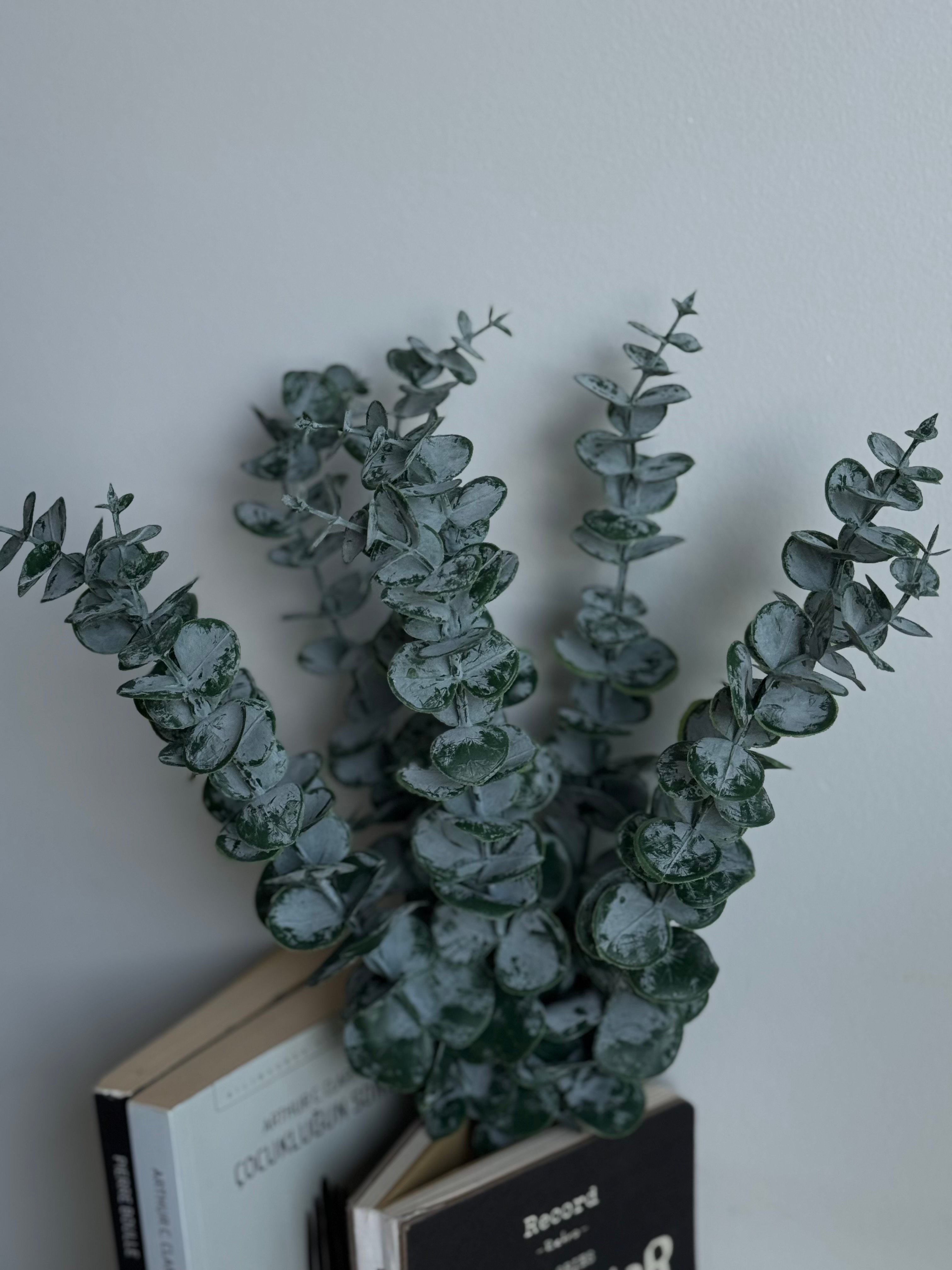 Dekoratif Boho Yapay Okaliptüs Demeti / 10 dal