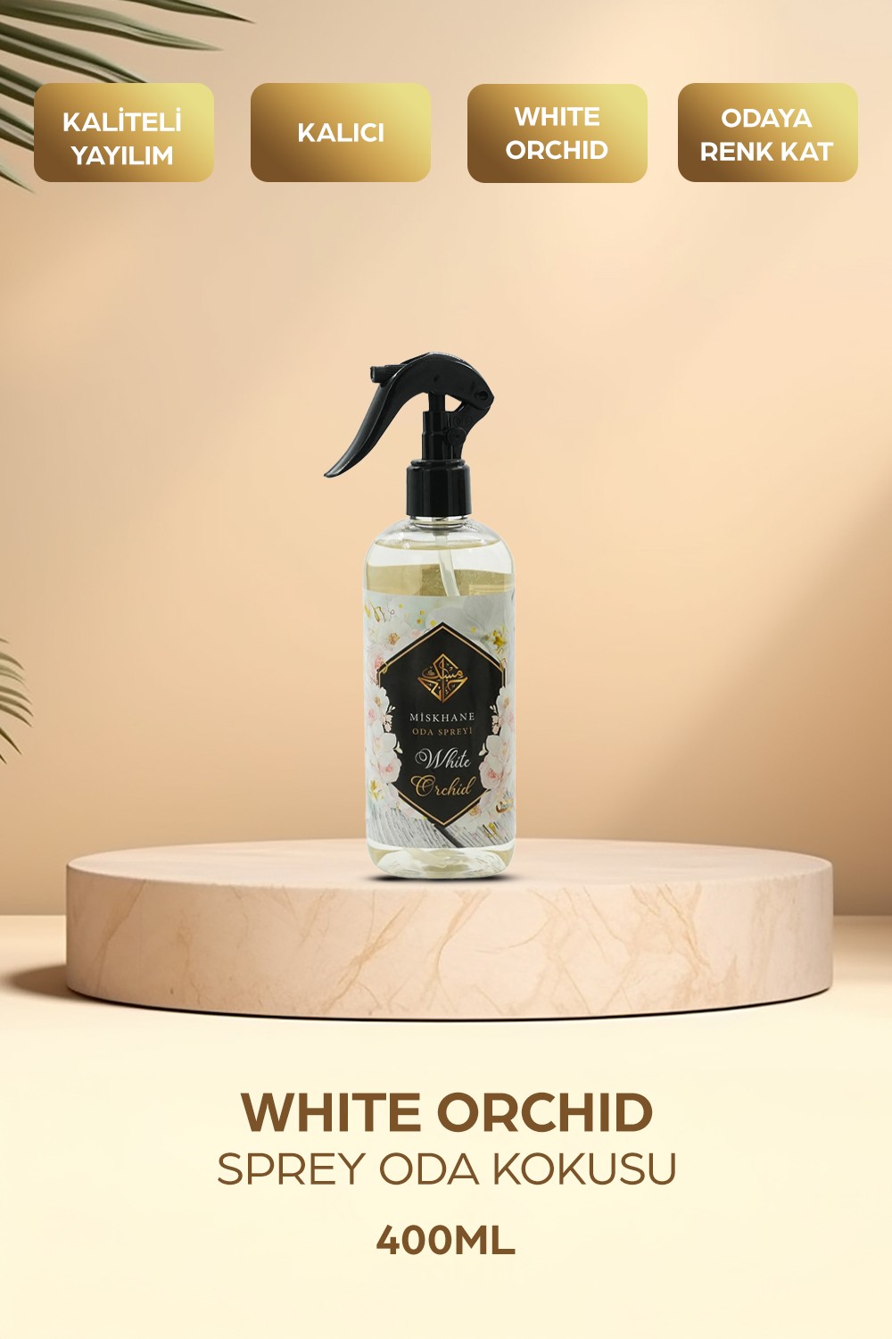 White Orchid Sprey Oda Kokusu