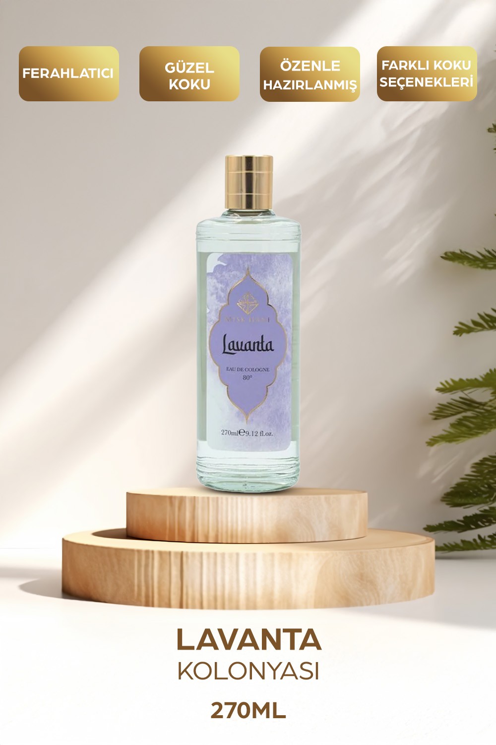 LAVANTA KOLONYASI