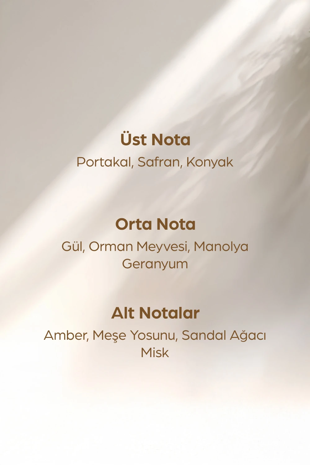 MORENO UNISEX PREMIUM PARFÜM 100 ML 