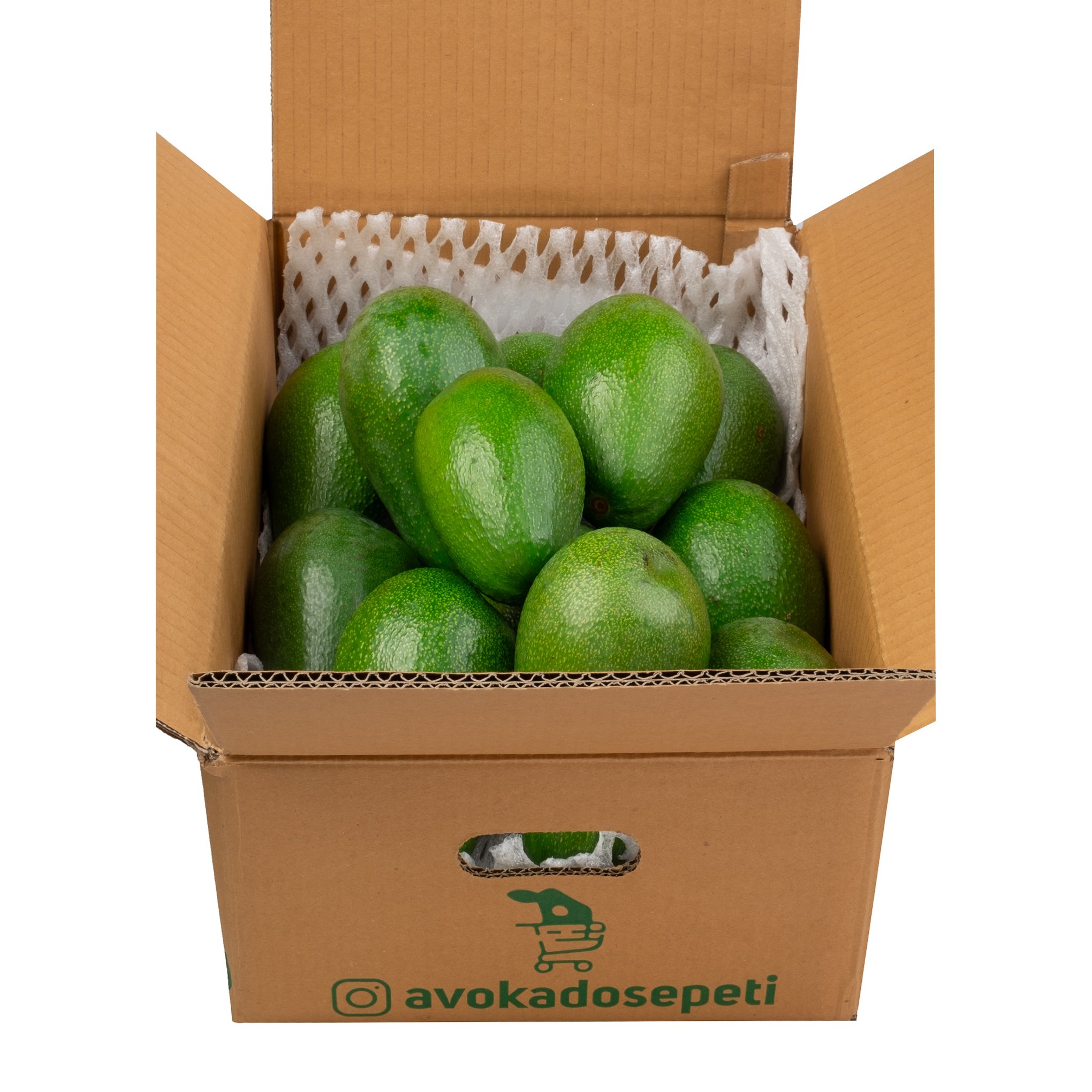 Avokado 23-26 Adet (6.500 Kg)