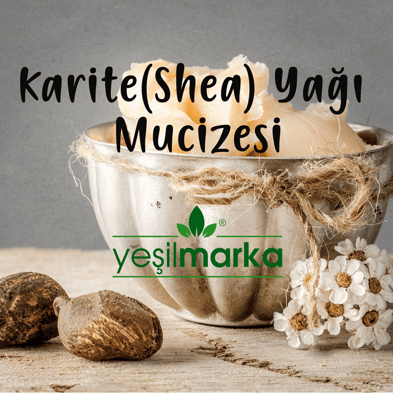 Karite (Shea) Yağı Nedir, Nasıl Kullanılır?