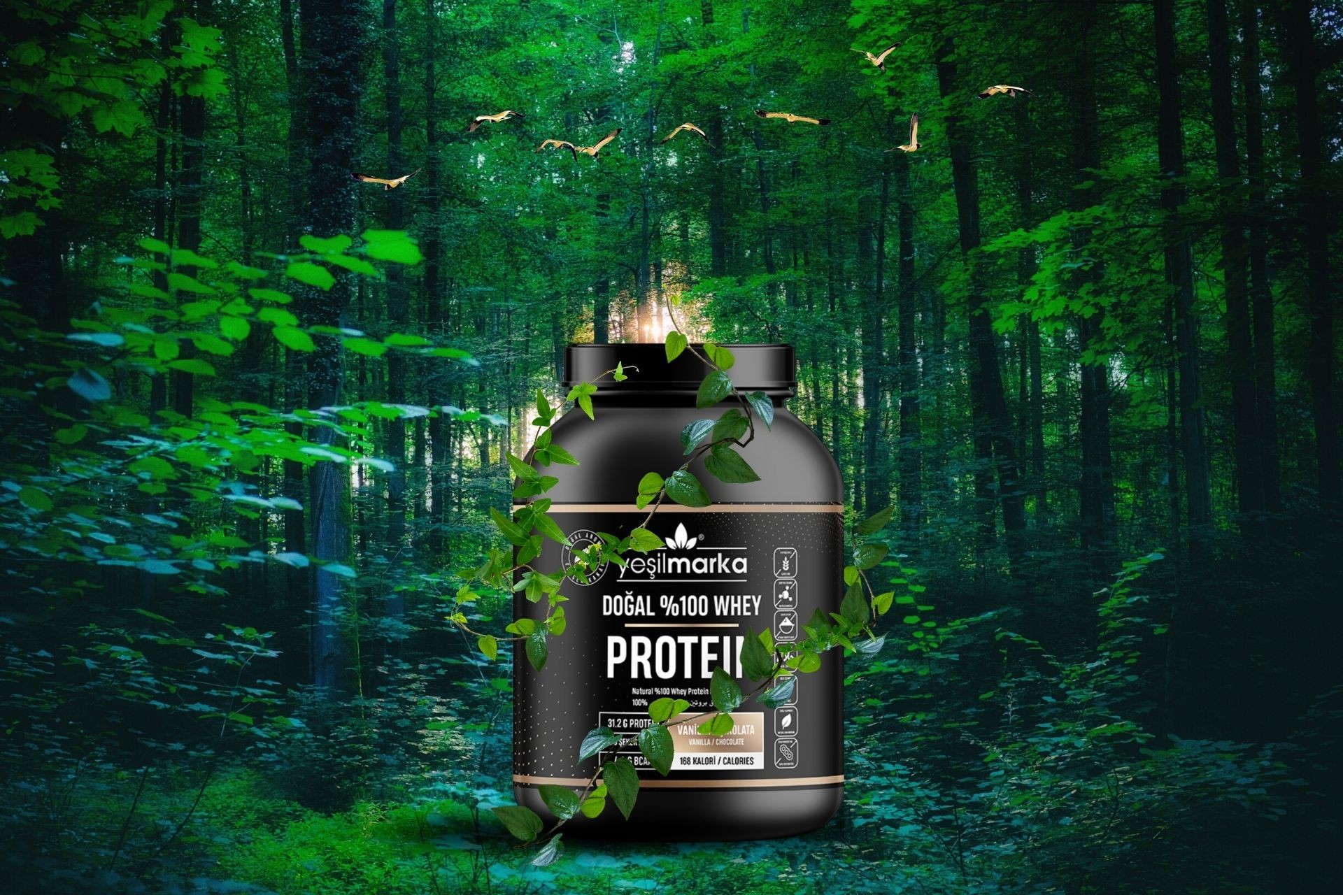 Protein Tozu Kullanımı Zararlı Mıdır?