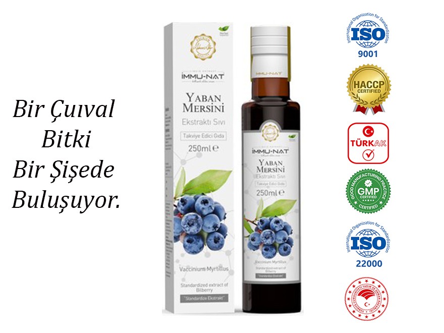 Yaban Mersini Ekstraktı 250 ML