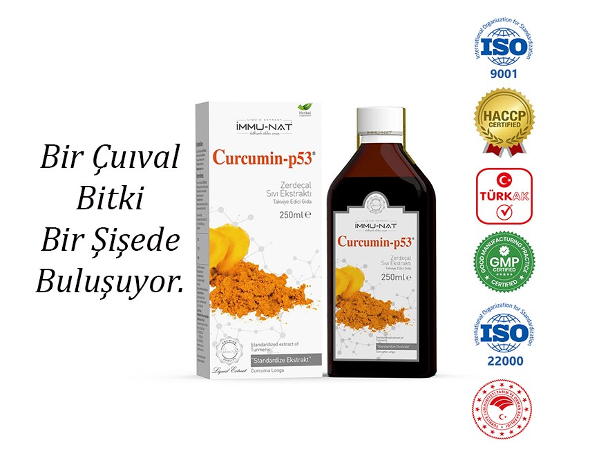 Zerdeçal Ekstraktı Curcumin-p53 250 ML