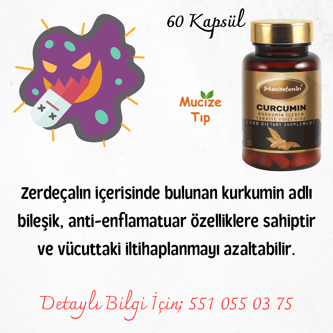 MECİTEFENDİ TAKVİYE CURCUMIN EKSTRATI (610MG*60 KAPSÜL)