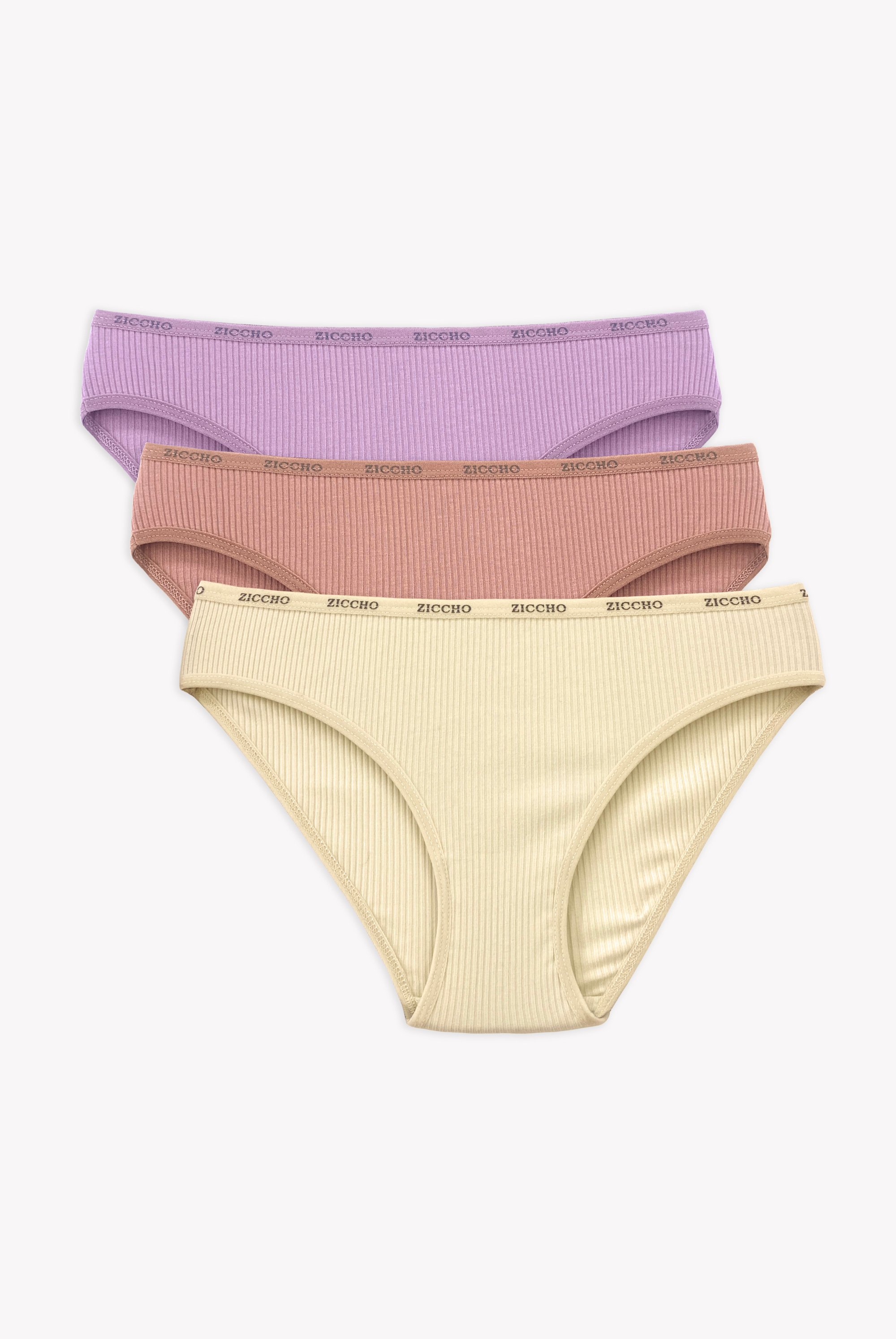 3'lü Paket Fitilli Pamuk Kumaş Külot Set - Pastel