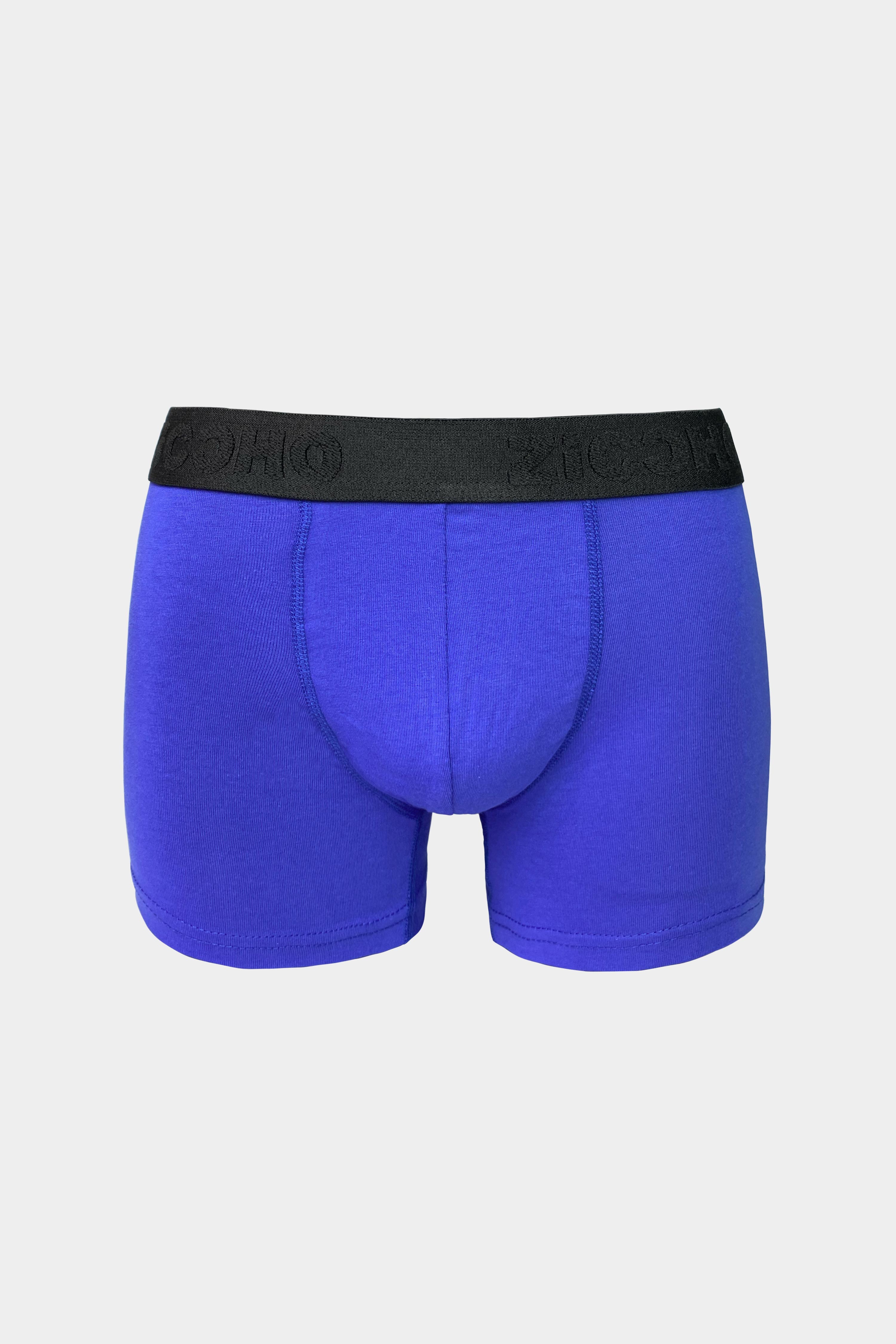 Basic Erkek Boxer - Saks Mavi