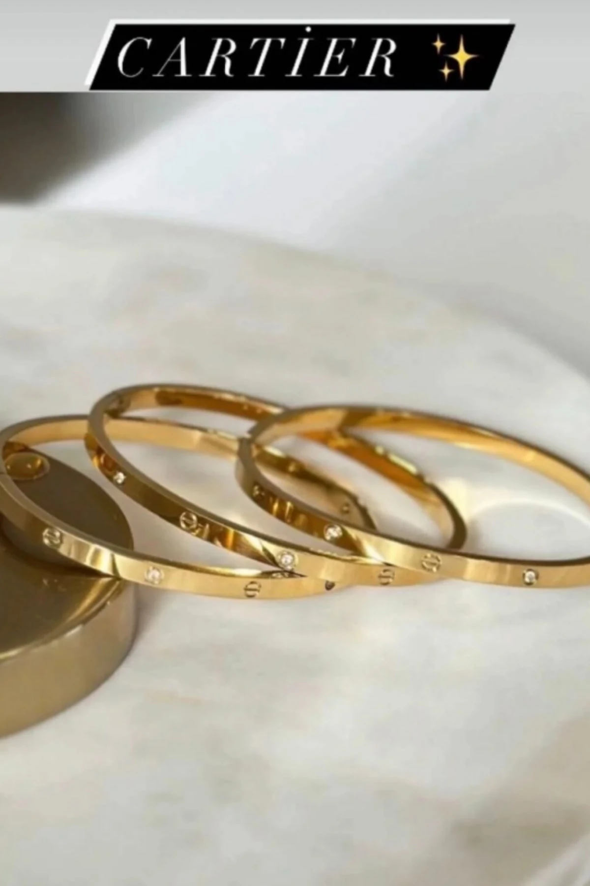 KADIN 316 L ÇELİK KELEPÇE TAŞLI CRTIER-BLK-GLD-01