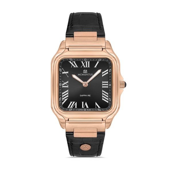 EM348R-04BR MOMENTUS MEN'S ELEGANCE KOL SAATİ