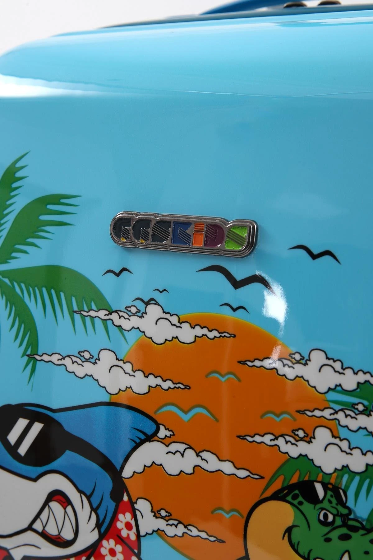 ÇÇS ÇOCUK ÇOCUK VALİZİ V.CCS5257