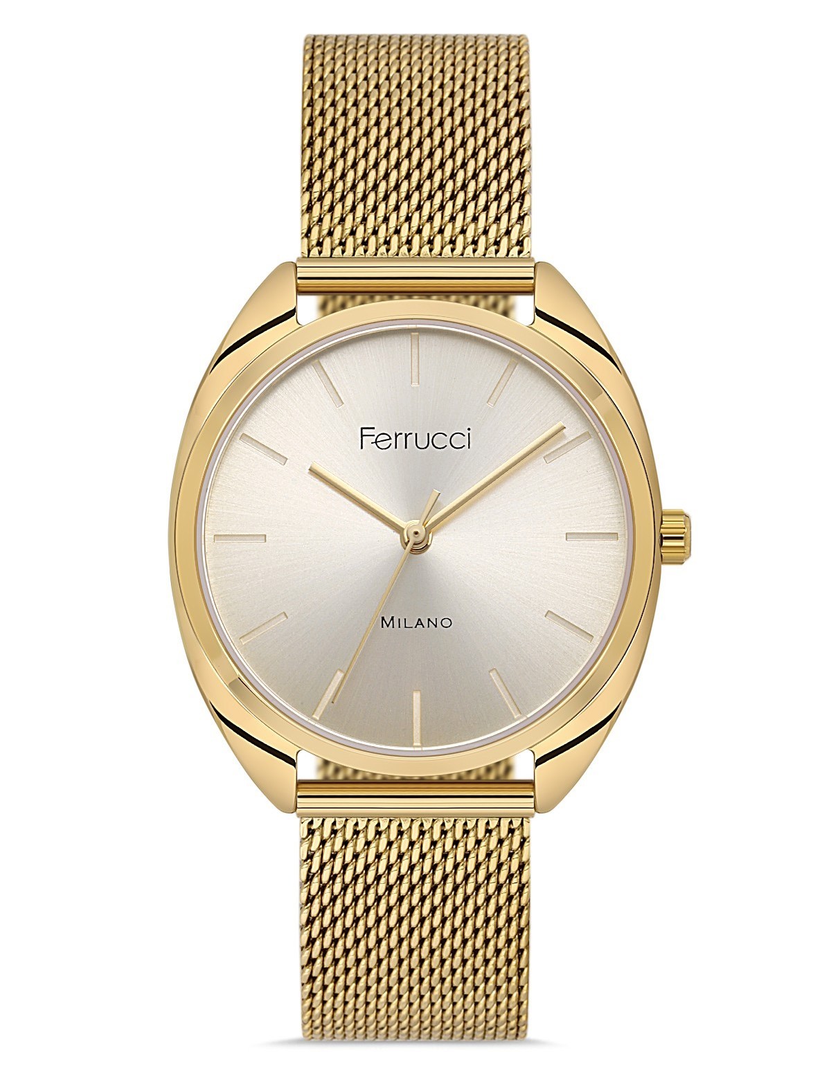 FERRUCCI KADIN KOL SAATİ FC042503438H.03640062