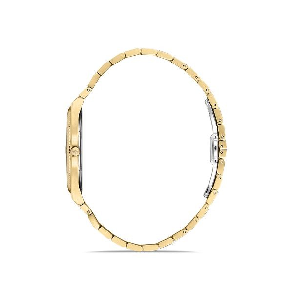 EM346G-08SG MOMENTUS MEN'S ELEGANCE KOL SAATİ