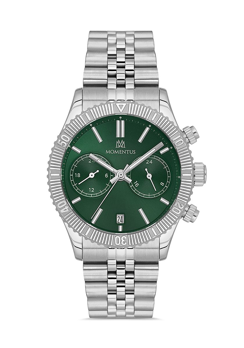MOMENTUS ERKEK KOL SAATİ S.SM389S-15SS