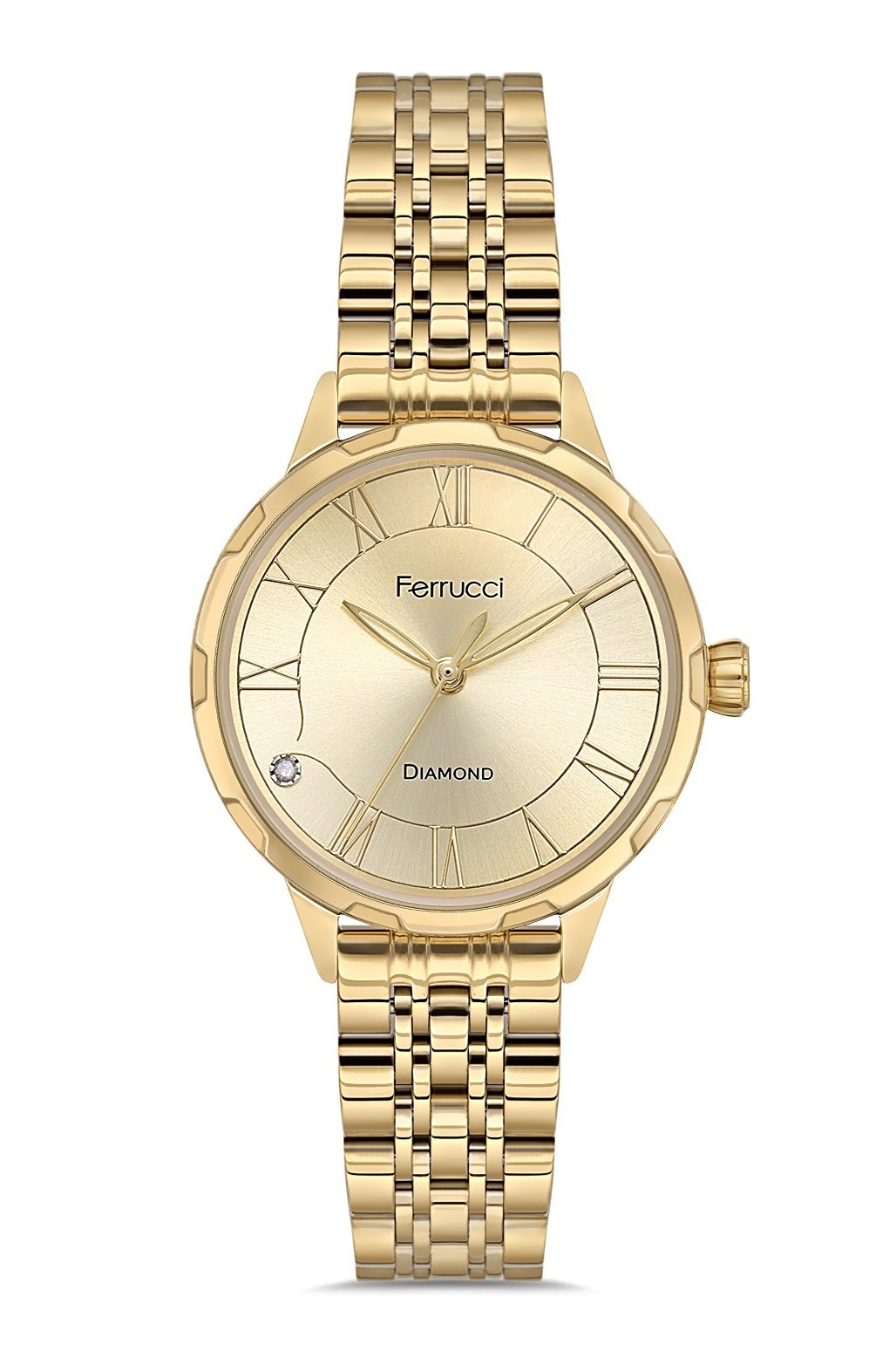 FERRUCCI KADIN KOL SAATİ FC102401117M.02640063