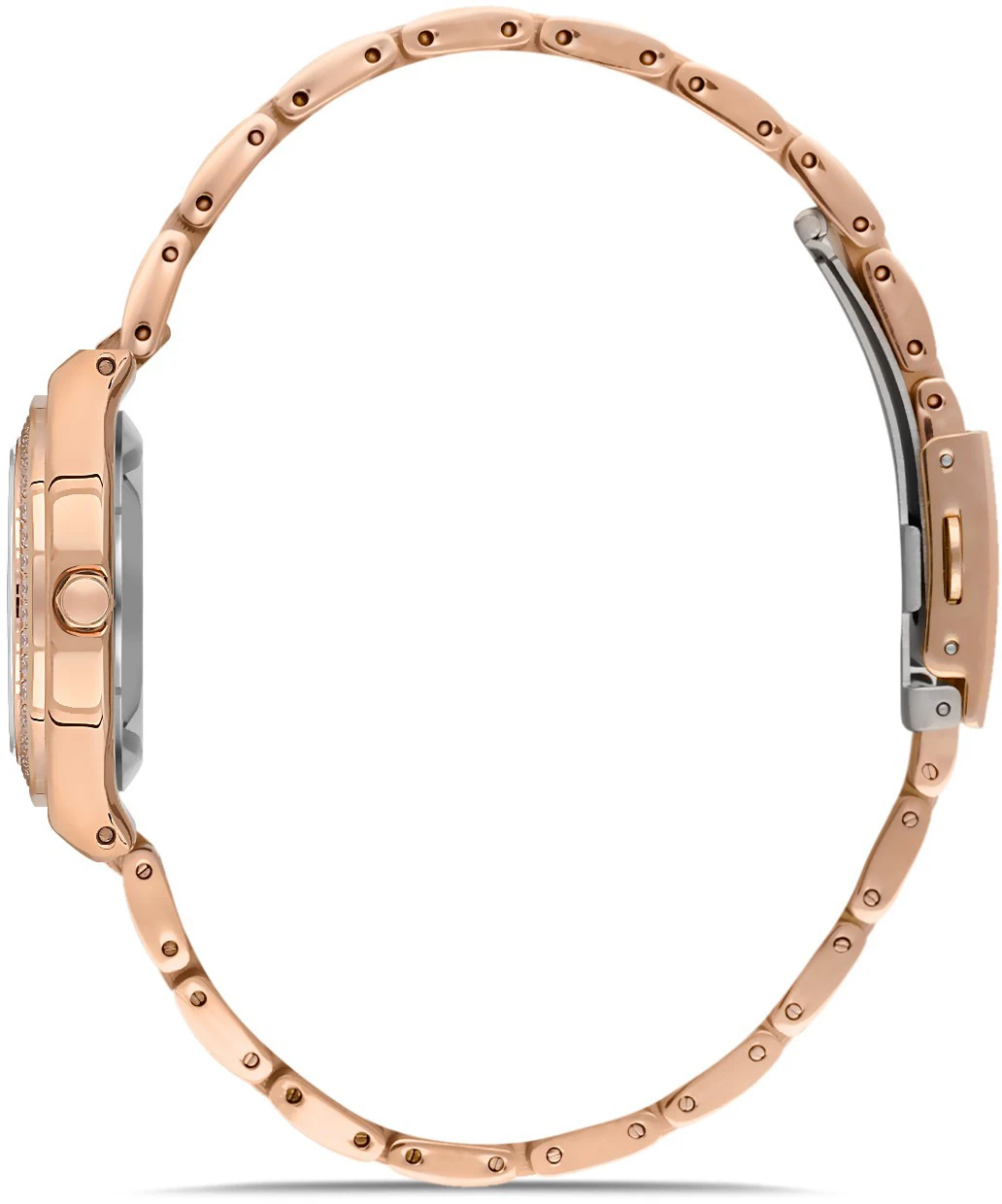 DAVİD GÜNER KADIN KOL SAATİ S.DG8519LA-C2