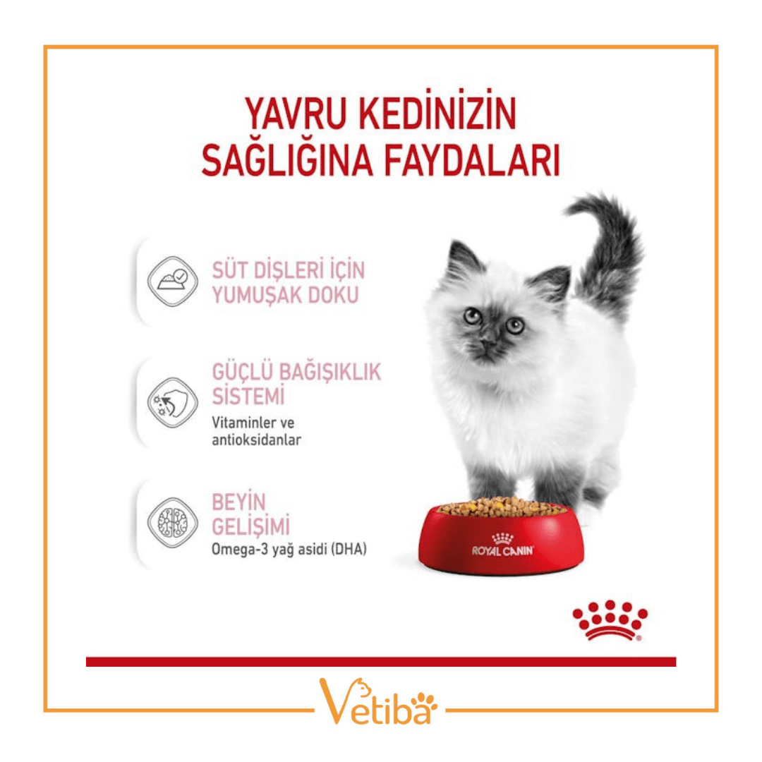 Royal Canin Kitten Jelly Yavru Kedi Yaş Mama 85 gr