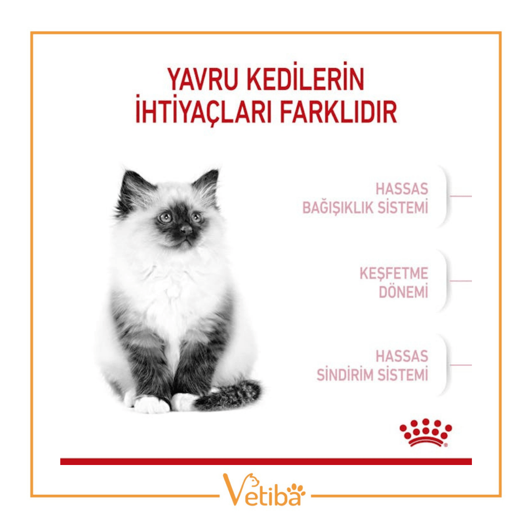 Royal Canin Kitten Yavru Kedi Mamasi 2 kg