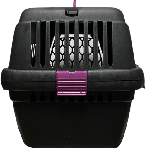 İba Pet Plastik 1 Numaralı Box Mor