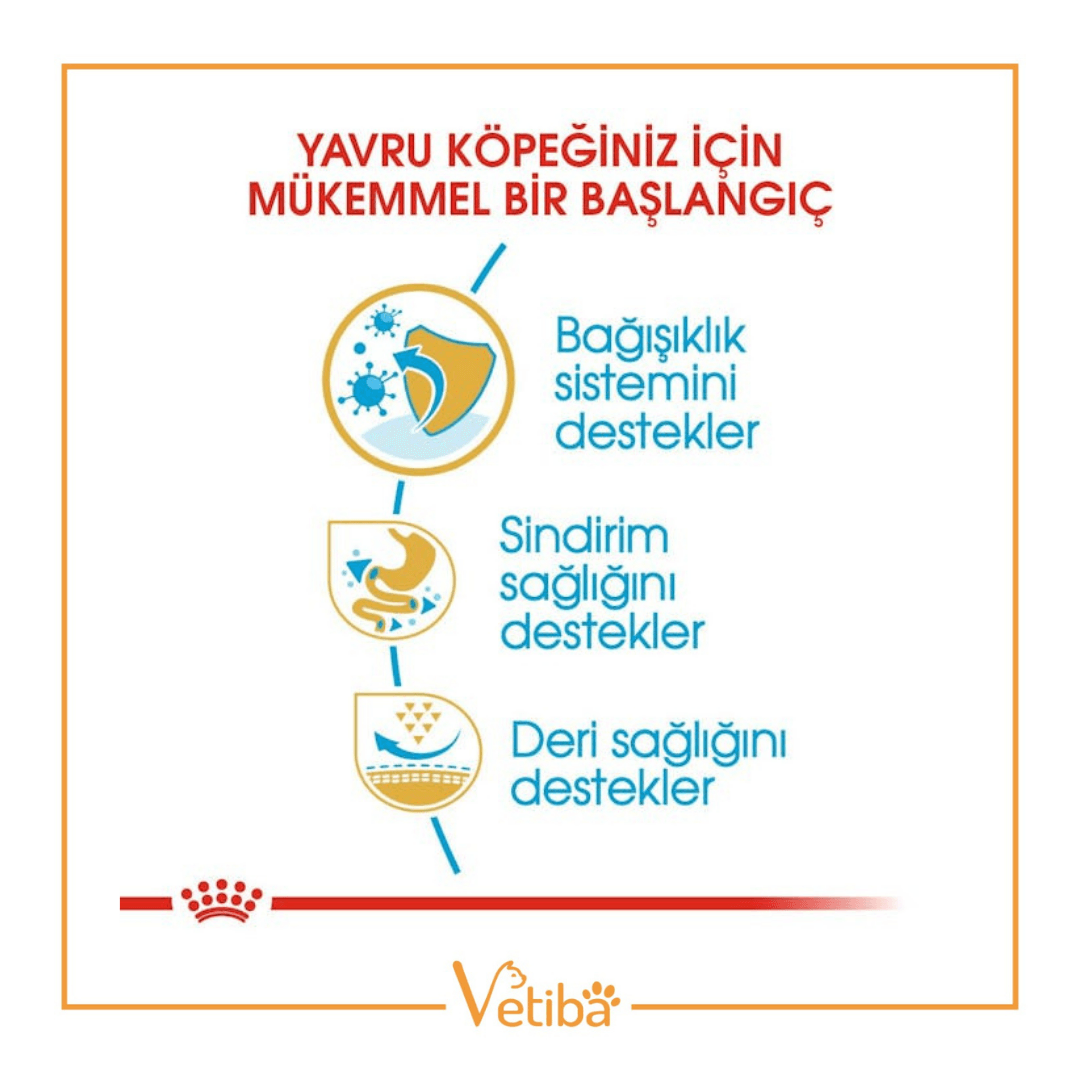 Royal Canin French Bulldog Puppy Yavru Köpek Maması 3 kg