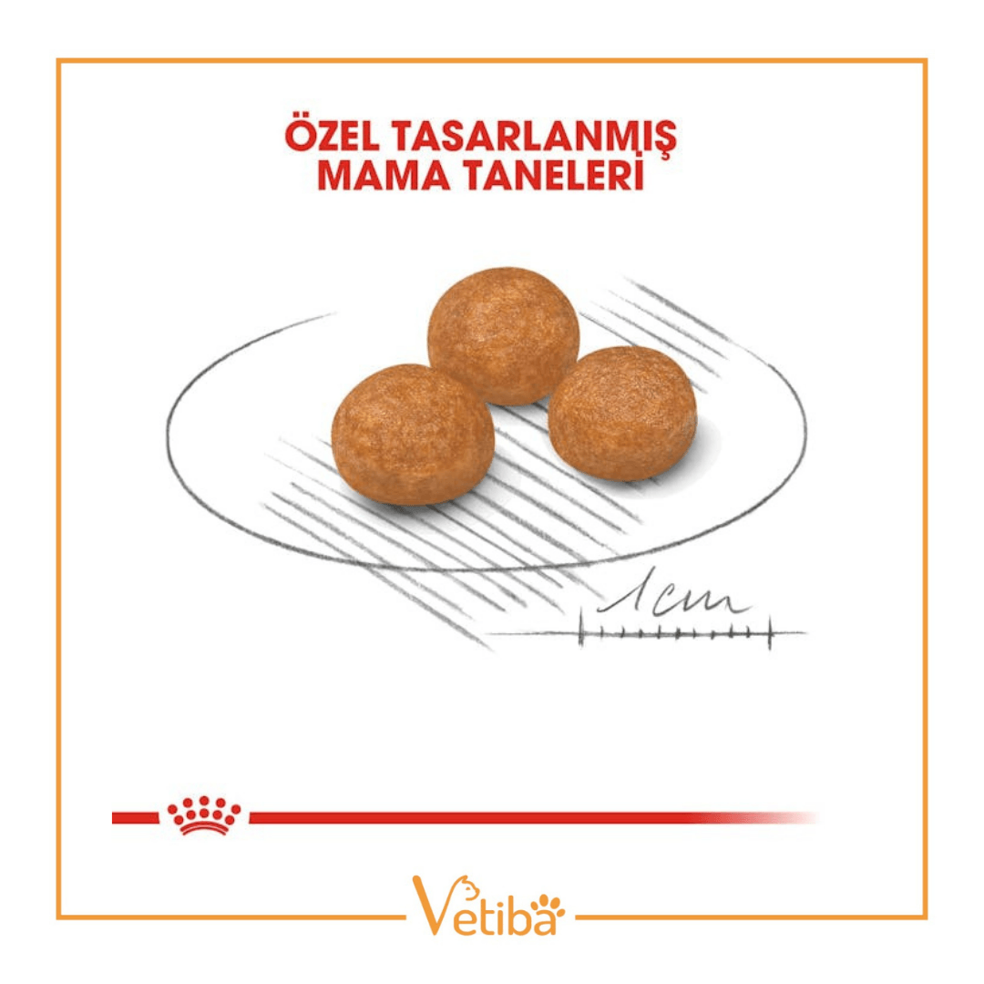 Royal Canin Xsmall Adult Küçük Irk Yetişkin Köpek Maması 3 kg