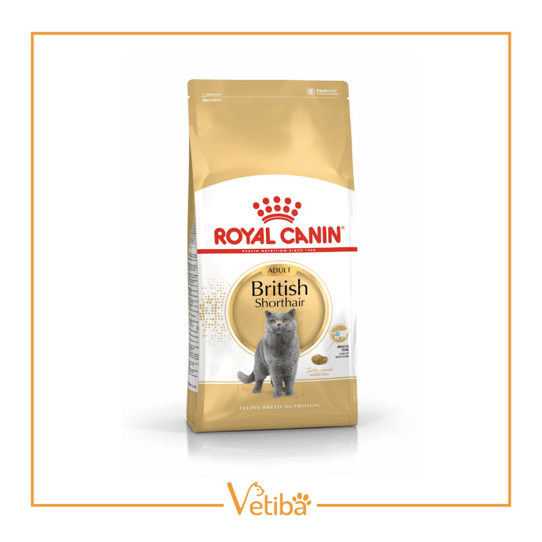 Royal Canin British Shorthair Adult Yetişkin Kedi Yaş Maması 85 gr - STD