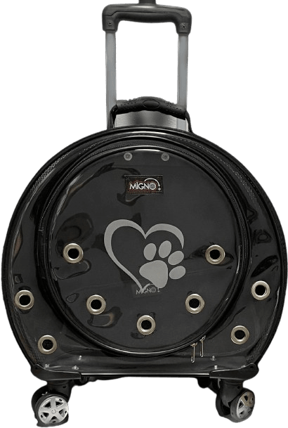 product cover image