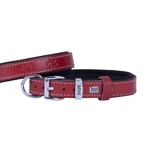 Doggie Konfor Deri Pati Desenli Boyun Tasması Kırmızı 2X35-40Cm