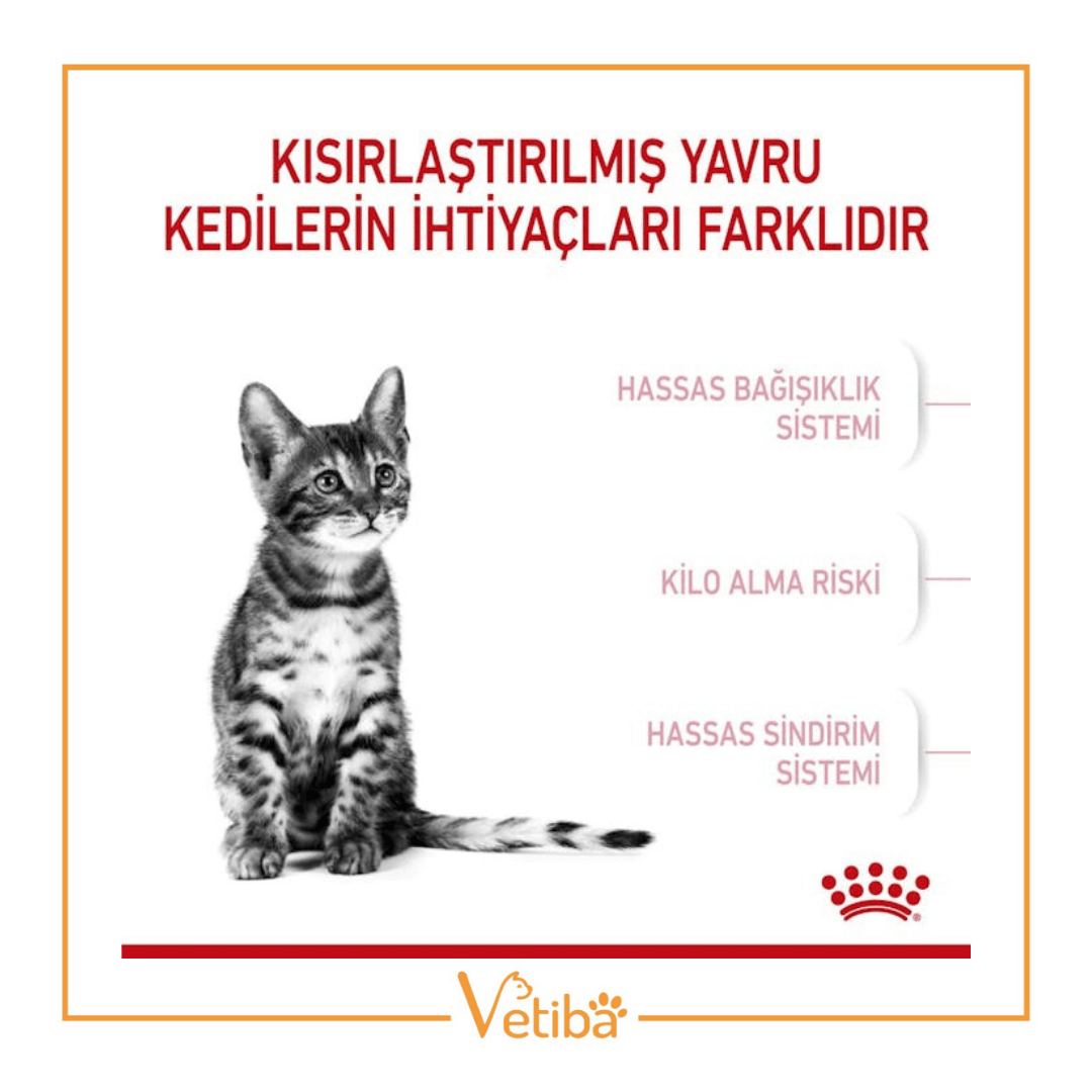 Royal Canin Kitten Sterilised Kısır Yavru Kedi Maması 2 kg