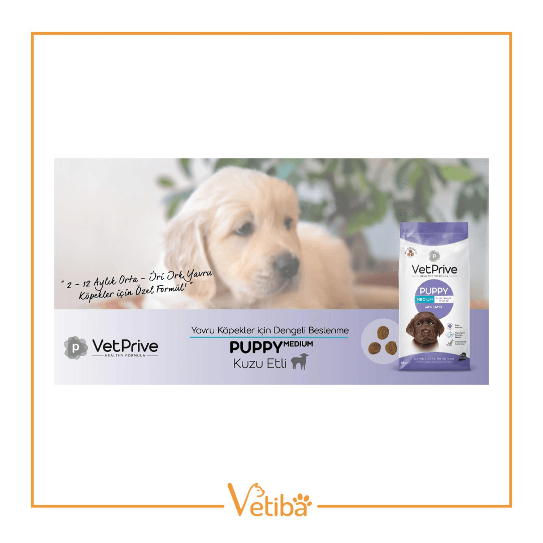 VetPrive Kuzu Etli Orta ve İri Irk Yavru Köpek Maması 14 kg