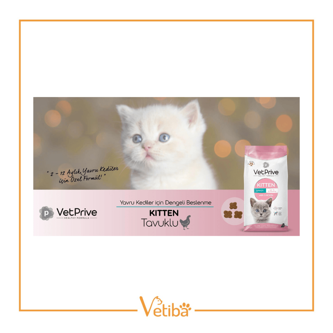 VetPrive Tavuklu Yavru Kedi Maması 10 kg