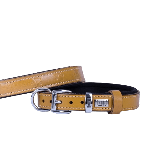product cover image