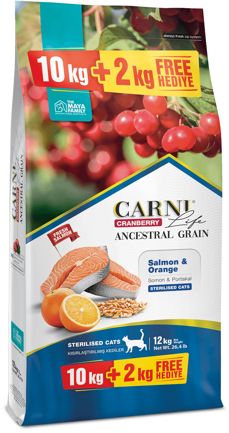 Carni Life Ancestral Grain Somon & Portakal Kısırlaştırılmış Kedi Maması 10+2 kg - STD