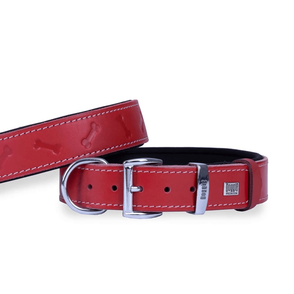 product cover image