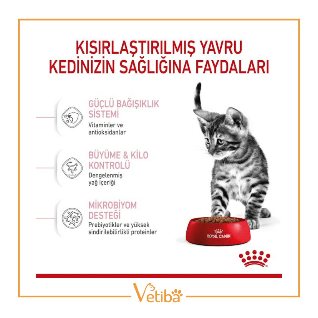 Royal Canin Kitten Sterilised Kısır Yavru Kedi Maması 2 kg