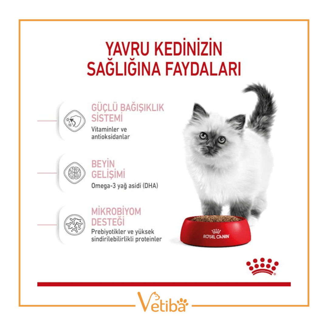Royal Canin Kitten Yavru Kedi Maması 4 Kg