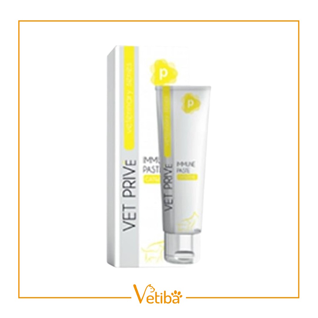 VetPrive Immune Paste Kedi Ve Köpekler Için Bağışıklık Desteği Pasta 100 g - STD